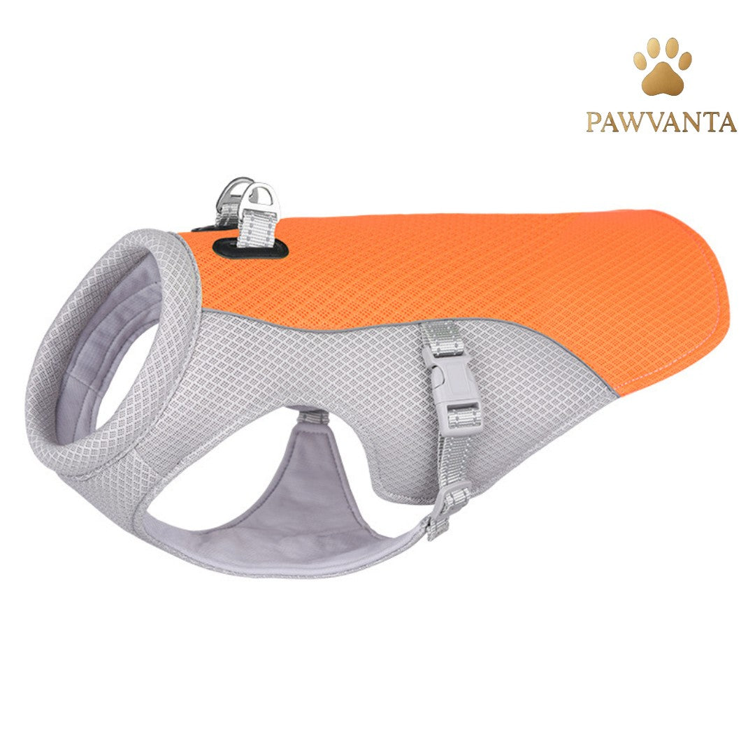 Summer Cooling Vest for Dogs – Ultimate Heat Protection! ☀️