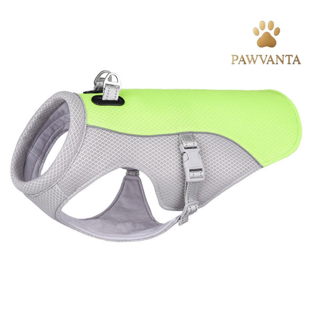 Summer Cooling Vest for Dogs – Ultimate Heat Protection! ☀️