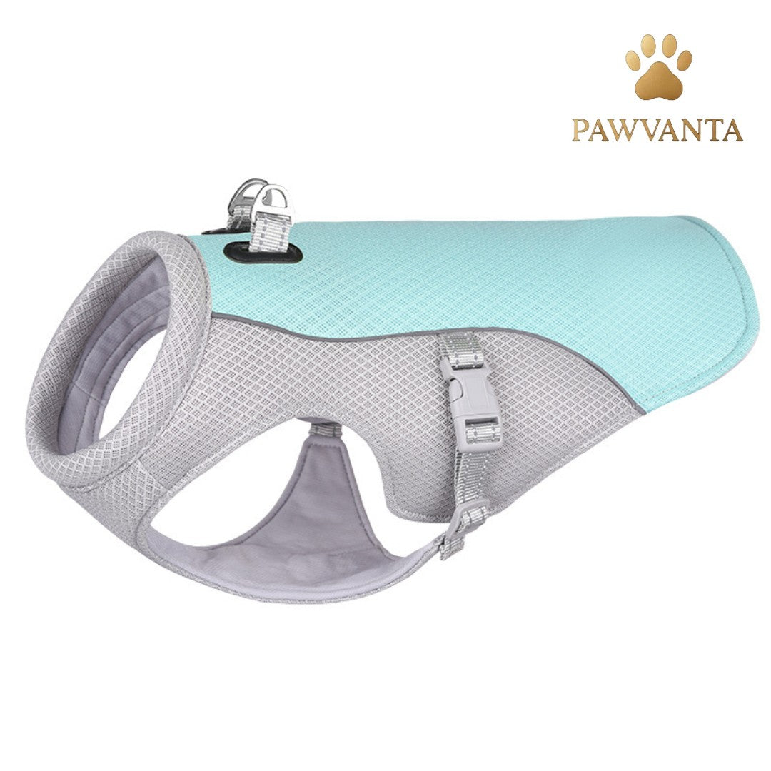 Summer Cooling Vest for Dogs – Ultimate Heat Protection! ☀️