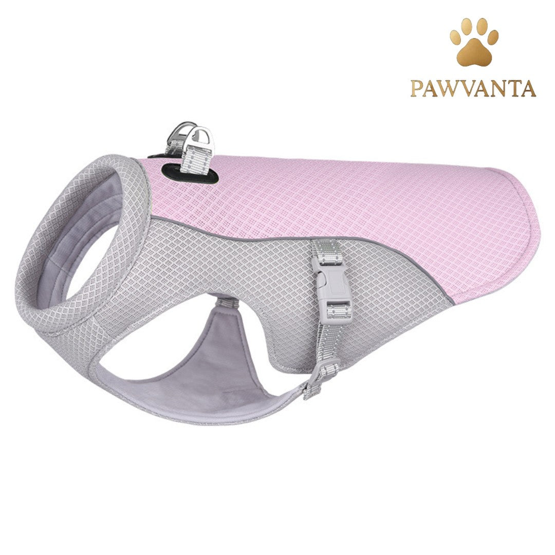 Summer Cooling Vest for Dogs – Ultimate Heat Protection! ☀️